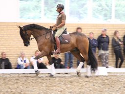 IMG_1555_web